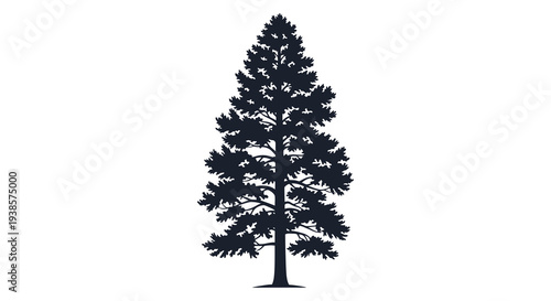 A detailed monochrome illustration depicts a tall evergreen tree with dense foliage presented as a silhouette high quality professional
