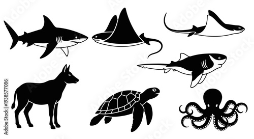 Diverse Animal Silhouettes Collection: Marine Life and Wildlife Vector Icons