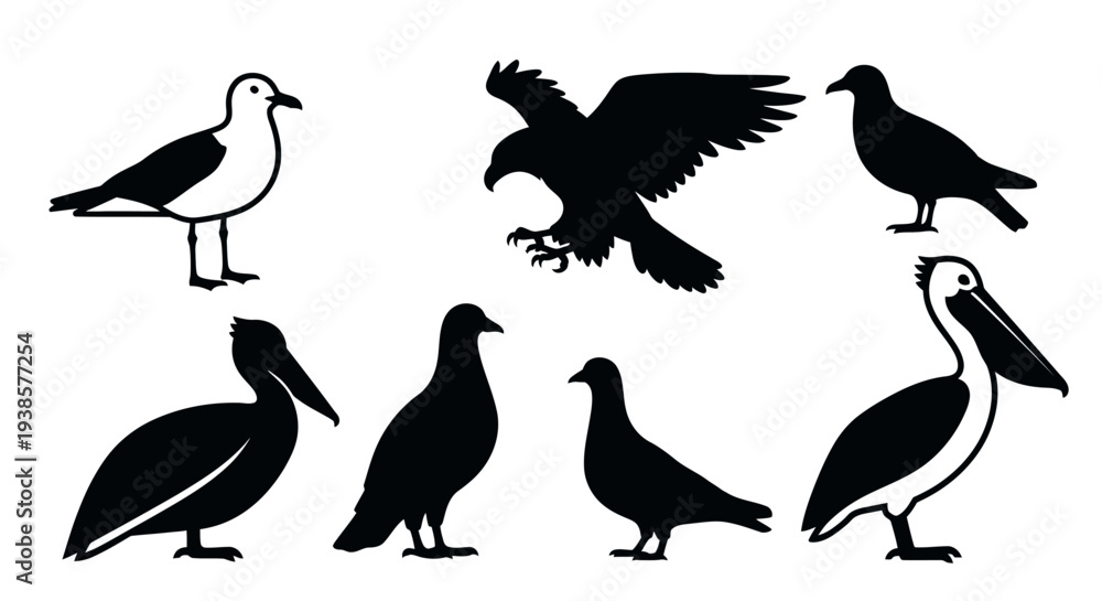 Naklejka premium Diverse Bird Silhouettes Vector Collection: Seagull, Eagle, Pigeon, and Pelican Icons Set