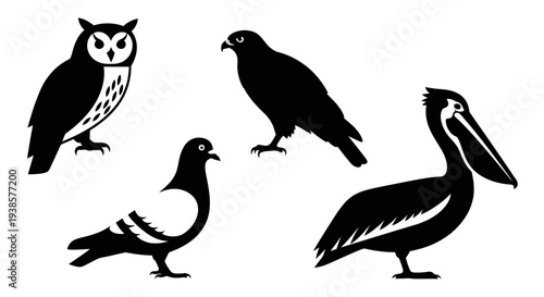 Diverse Bird Silhouettes: Owl, Hawk, Pigeon, Pelican Vector Icons