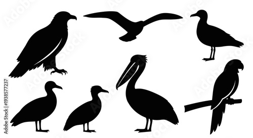 Diverse Bird Silhouettes Set Isolated on White Background for Wildlife Design