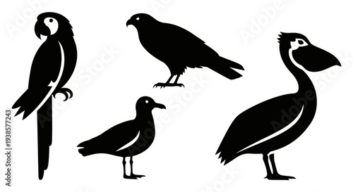Diverse Bird Silhouettes: Parrot, Hawk, Seagull, Pelican Icons