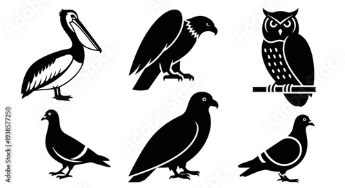Diverse bird silhouettes vector collection: pelican, eagle, owl, pigeons, and more