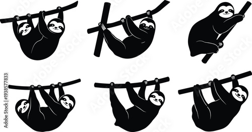 Cartoon sloth illustrations, black and white, hanging pose, tree branch, relaxed posture, slow movement, animal design, vector art, character set