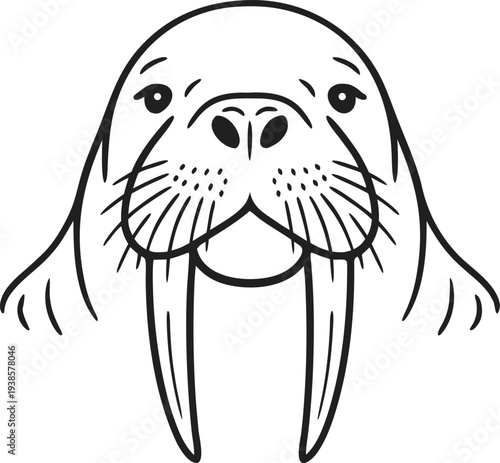 Animal Walrus Face Vector Stock Illustrations