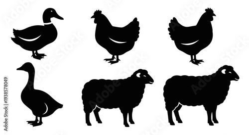 Farm Animal Silhouettes Collection: Duck, Chicken, and Sheep Icons