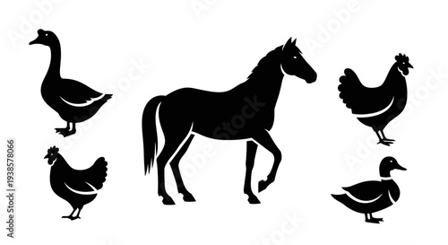 Farm Animal Silhouettes Collection: Horse, Goose, Chicken, Duck Icons