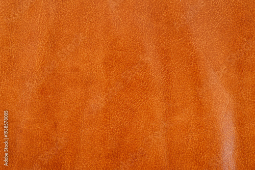 Close-up of a warm orange l...