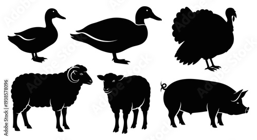 Farm Animals and Poultry Silhouettes Collection: Duck, Turkey, Sheep, Lamb, Pig