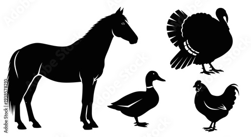Farm Animals Silhouettes: Horse, Turkey, Duck, and Chicken Black Icons