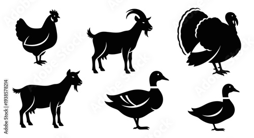 Farm Animals Silhouettes Set: Chicken, Goat, Turkey, and Ducks Icons
