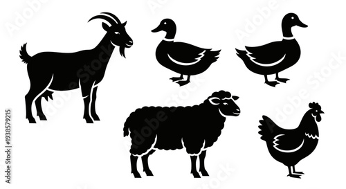 Farm Animals Silhouettes Vector Set: Goat, Duck, Sheep, and Chicken Icons