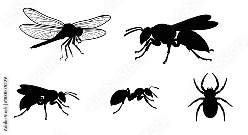 Insect and Arachnid Silhouettes Set: Dragonfly, Wasp, Ant, Spider Vector Illustration
