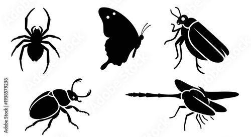 Insect and Arachnid Silhouettes Set: Spider, Butterfly, Beetles, and Dragonfly Icons