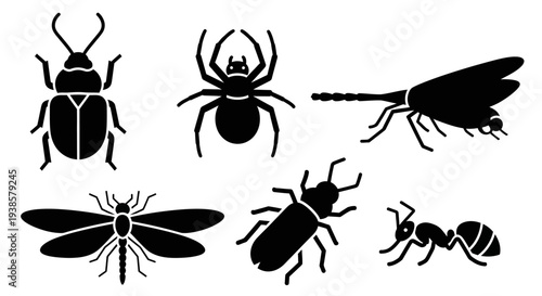 Insect and Bug Silhouettes Collection: Beetle, Spider, Ant, and Dragonfly Icons Set