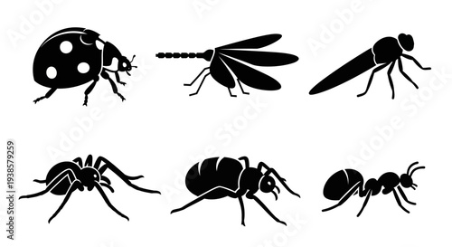 Insect and Bug Silhouettes Set: Ladybug, Dragonfly, Spider, Ant, Fly Icons