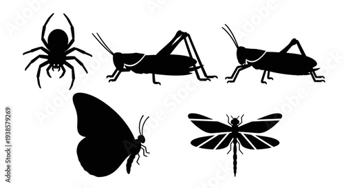 Insect and Spider Silhouettes Set - Butterfly, Dragonfly, Grasshopper, Arachnid Icons