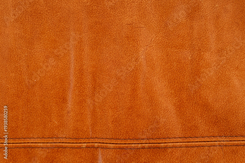 Detailed image of orange le...