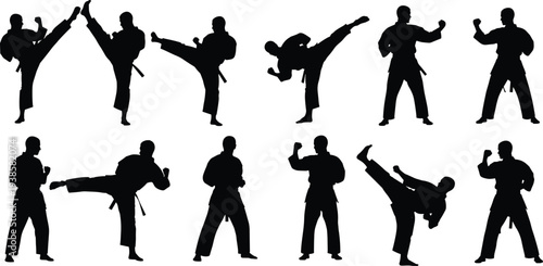 Karate and martial arts fighter silhouette set performing high kicks and combat stances isolated for sport training and self defense concept