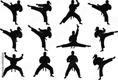 Karate martial arts athlete silhouette collection performing high kicks fighting stances and jump split for sport training and self defense