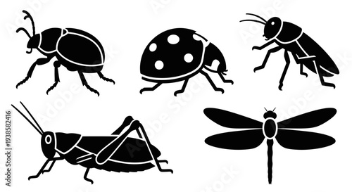 Insect Silhouettes Collection: Beetle, Ladybug, Grasshopper, and Dragonfly Icons Set
