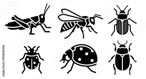 Insect Silhouettes Collection: Diverse Bugs and Beetles Icons Set