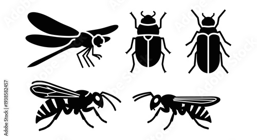Insect Silhouettes Collection: Dragonfly, Beetles, Wasp, and Ant Icons on White Background