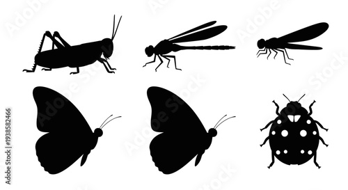 Insect Silhouettes Collection: Grasshopper, Dragonflies, Butterflies, and Ladybug