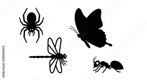 Insect Silhouettes Collection: Spider, Butterfly, Dragonfly, Ant Icons
