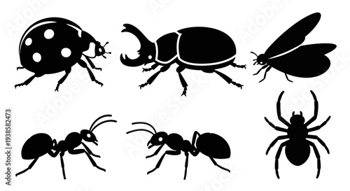 Insect Silhouettes Collection: Ladybug, Beetle, Ant, Moth, and Spider Vector Icons
