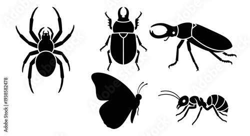 Insect Silhouettes Collection: Spider, Beetle, Butterfly, Ant, and Stag Beetle Icons
