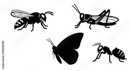 Insect Silhouettes Collection: Wasp, Grasshopper, Butterfly, and Ant Outlines