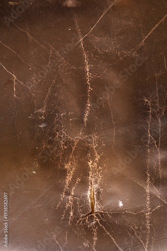 Close up shot of a detailed...