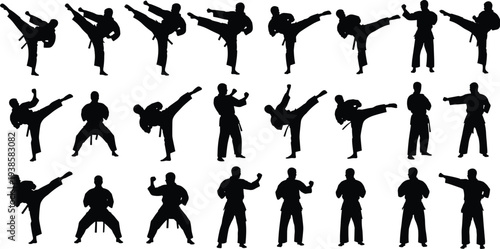 Martial arts karate fighter silhouette collection showing multiple kicking and fighting poses isolated vector set for combat sport training concept