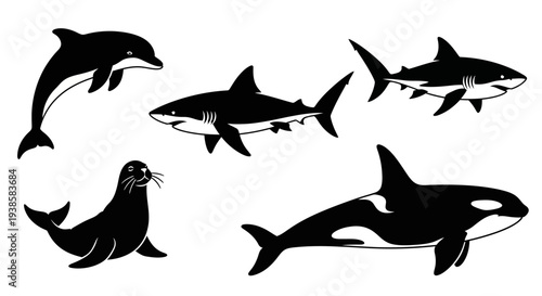 Marine Animals Silhouettes Collection: Dolphin, Sharks, Orca, and Seal Graphic Set