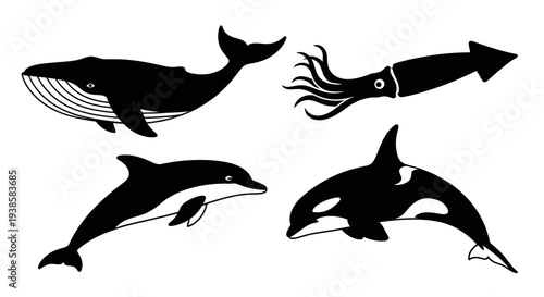 Marine Animals Silhouette Set: Whale, Squid, Dolphin, and Orca Vector Icons