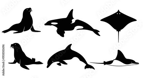 Marine Animals Silhouettes Collection: Orca, Dolphin, Sea Lion, Manta Ray, Stingray