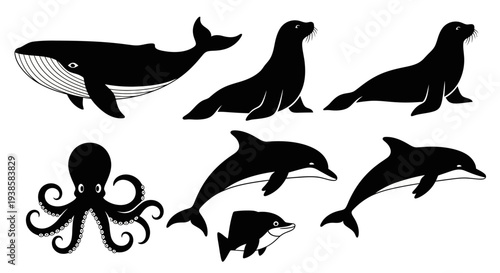 Marine Animals Silhouettes Set: Whale, Dolphin, Octopus, Sea Lion, Fish Vector