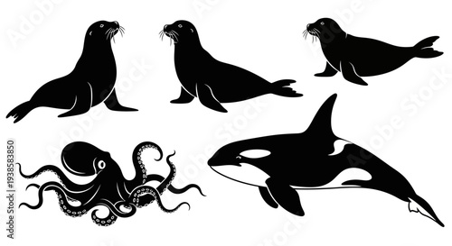 Marine Life Silhouettes: Orca, Seals, and Octopus Collection