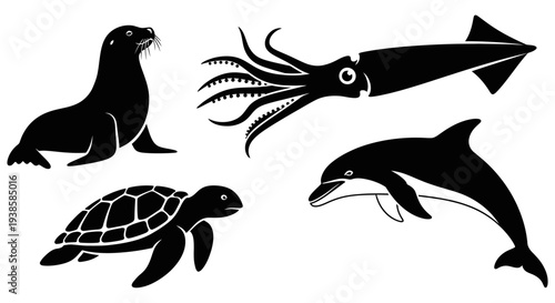 Ocean Animals Silhouettes Collection: Dolphin, Sea Lion, Squid, Turtle Icons