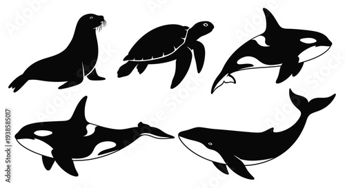 Ocean Wildlife Silhouettes: Orca, Whale, Sea Lion, and Sea Turtle Collection