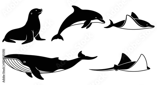 Ocean Marine Animals Silhouettes Set: Dolphin, Whale, Sea Lion, Manta Ray