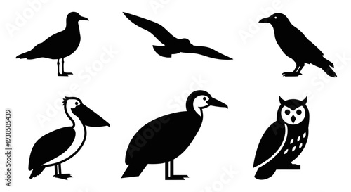 Various Bird Silhouettes Collection Isolated on White Background