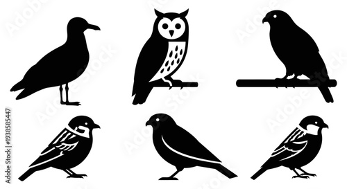 Various Bird Silhouettes Set - Minimalist Black and White Icons