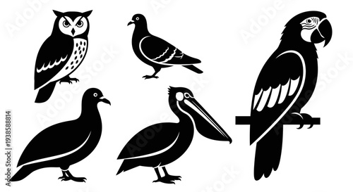Bird Silhouettes Collection: Owl, Pigeon, Pelican, and Macaw Vector Icons