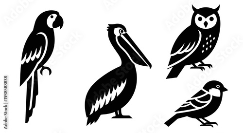 Bird silhouettes set. Parrot, pelican, owl and small bird vector icons. Wildlife fauna collection.