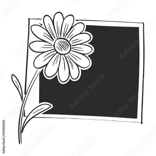 Adobe Illustrator Artwork  Poppy flowers Continuous line drawing. Minimalist modern art, hand draw one continuous line art Poppy flowers, Elegant single line art of beautiful flowers blossoming on a w