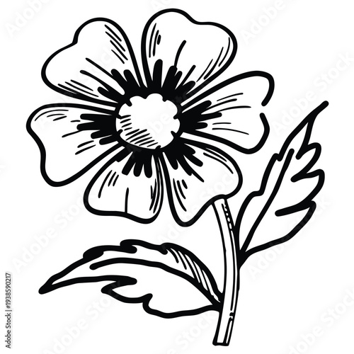 Adobe Illustrator Artwork  Poppy flowers Continuous line drawing. Minimalist modern art, hand draw one continuous line art Poppy flowers, Elegant single line art of beautiful flowers blossoming on a w