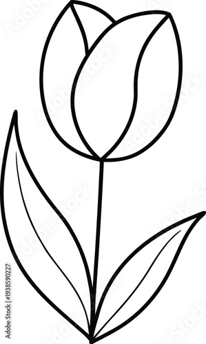 Adobe Illustrator Artwork  Poppy flowers Continuous line drawing. Minimalist modern art, hand draw one continuous line art Poppy flowers, Elegant single line art of beautiful flowers blossoming on a w