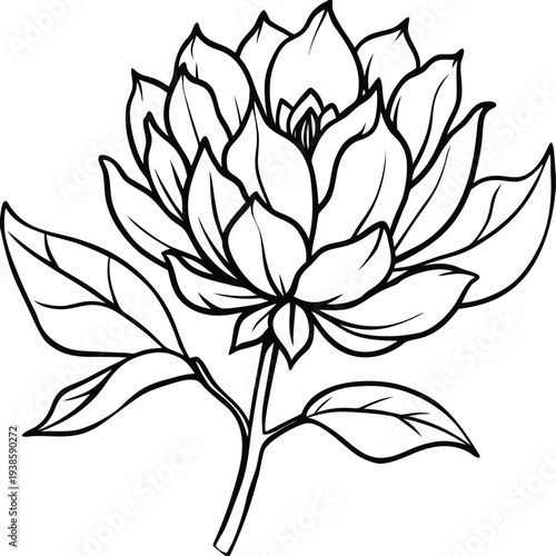 Adobe Illustrator Artwork  Poppy flowers Continuous line drawing. Minimalist modern art, hand draw one continuous line art Poppy flowers, Elegant single line art of beautiful flowers blossoming on a w